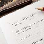 OURS 2027 Research Project Journal [The Reunion]