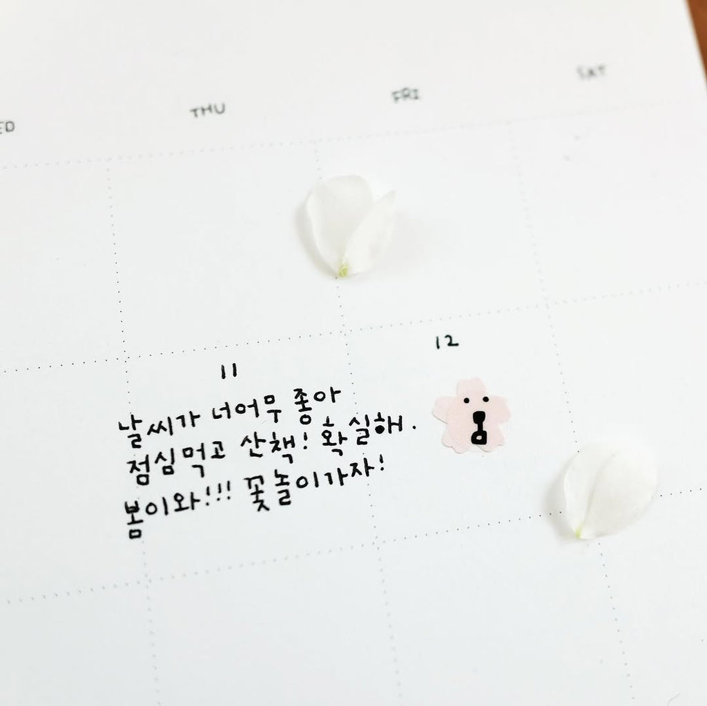Plain.62