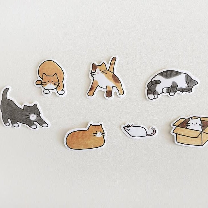 Cats!