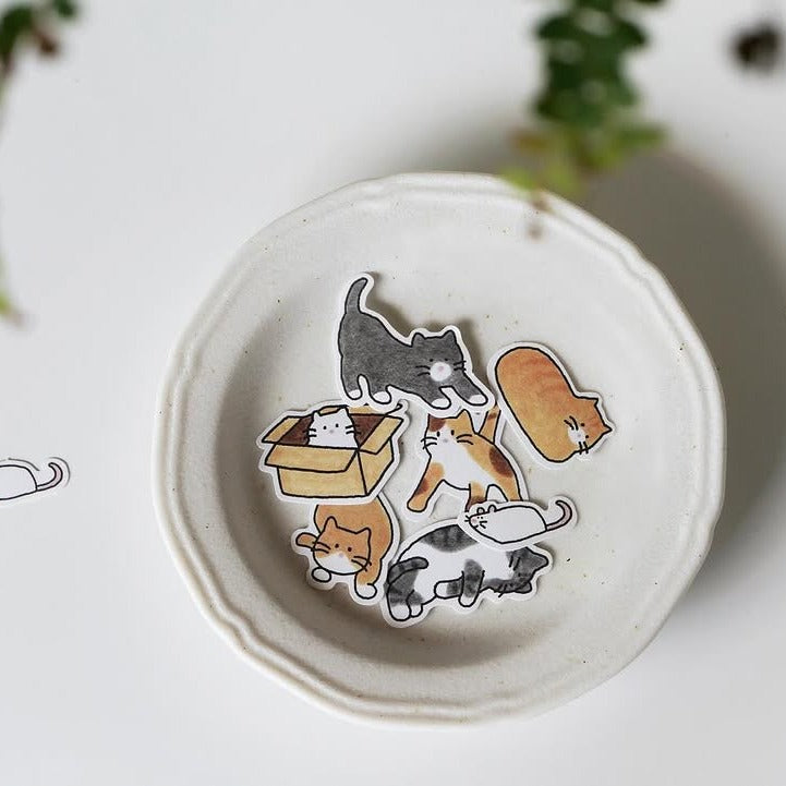 Cats!