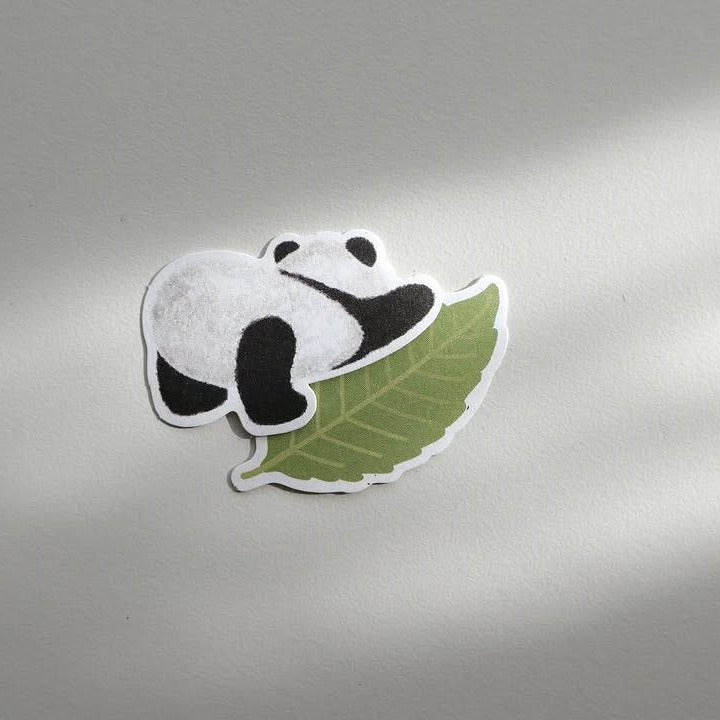 Baby Panda
