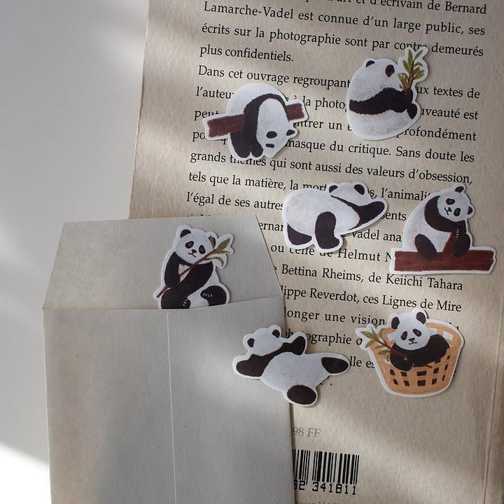 Baby Panda