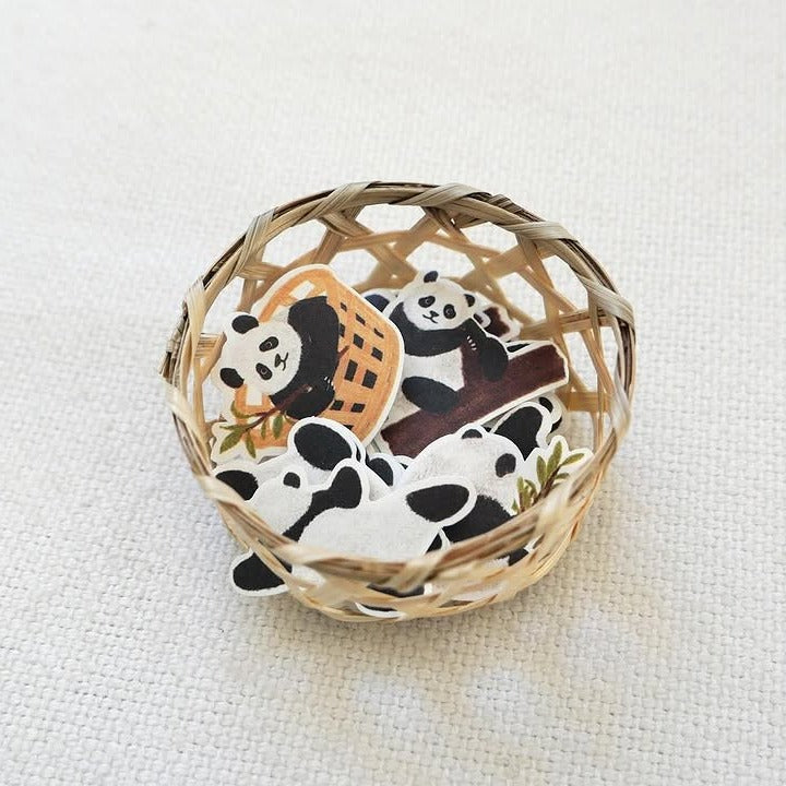 Baby Panda