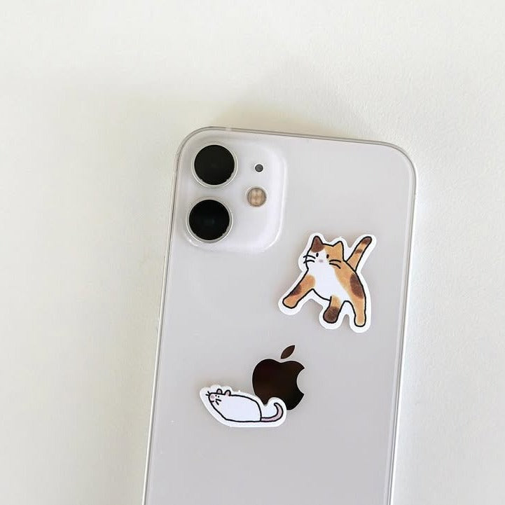 Cats!