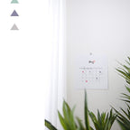 Plain.01