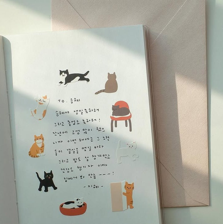 Cats Have Staff