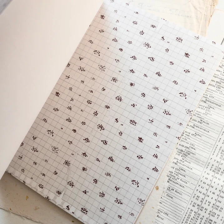 Autumn Sticker Book