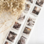 Collection of black and white photos on a light surface with dried flowers.