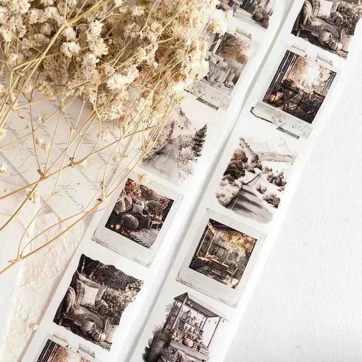 Autumn Scenes Washi Tape monochrome photo designs with dried flowers on a light background