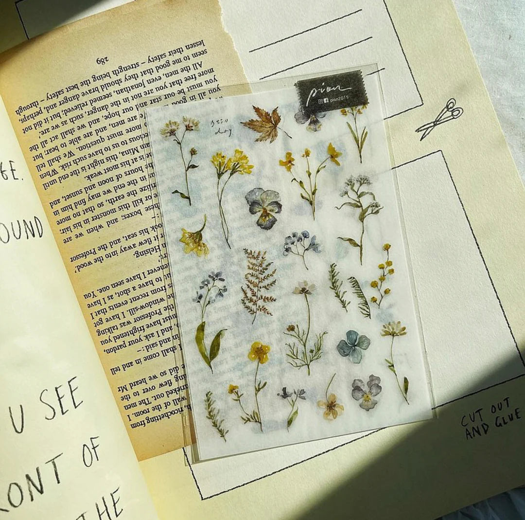 Sheet of pressed flowers and leaves on a textured paper background