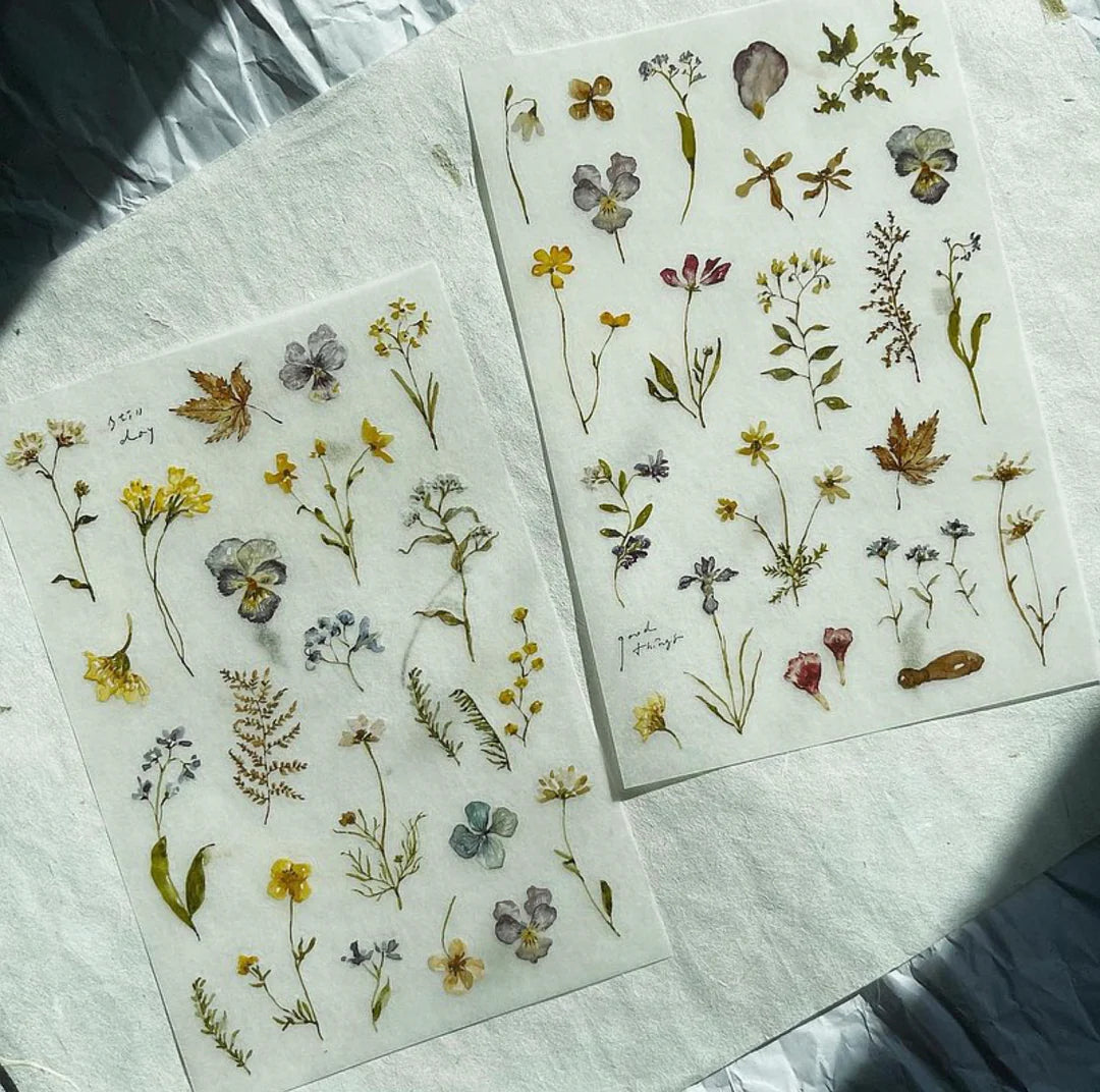 Two sheets of pressed flowers on a white surface