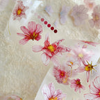 Transparent sheet with pink floral stickers on a textured white background