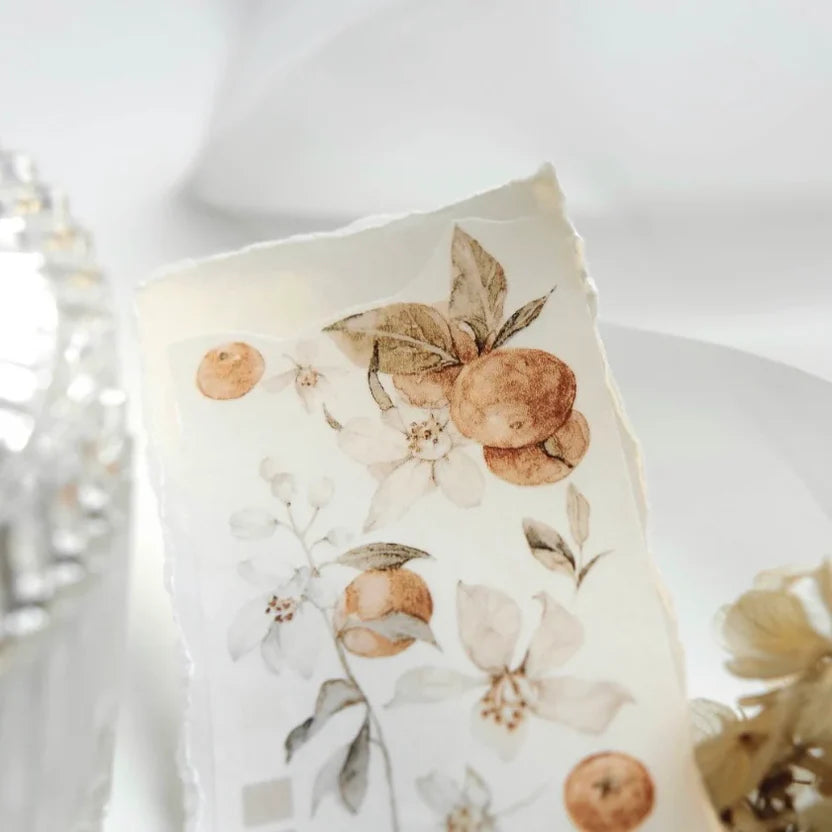 Freckles Tea Vol.3 Citrus Washi Tape citrus pattern shown across a full surface on white