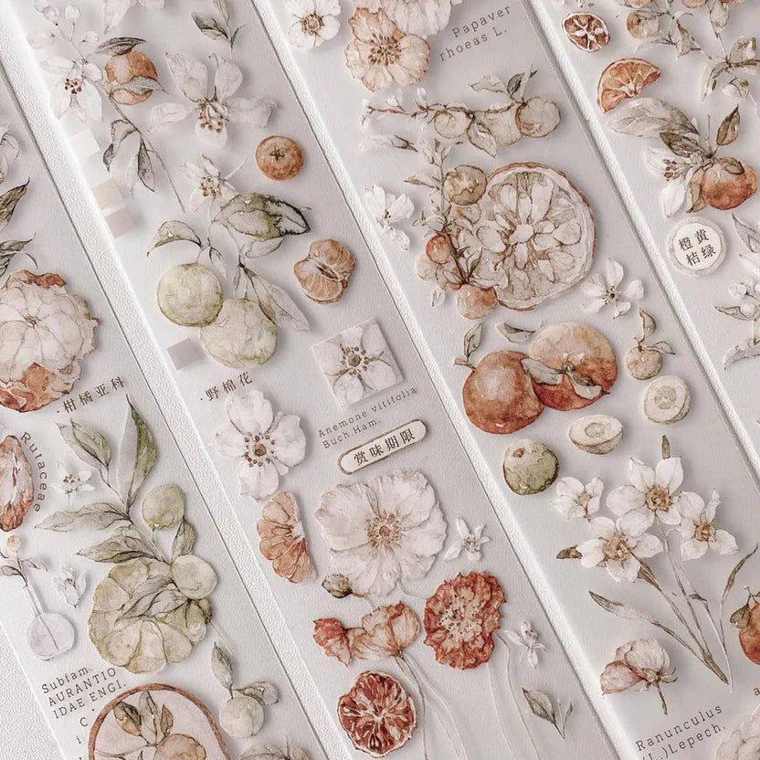Set of Tangerine PET Tape floral and botanical sticker designs on a light grey background