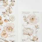 Illustrations of flowers with botanical names on a light background