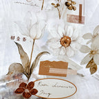 Illustration of flowers and leaves with text on a light background