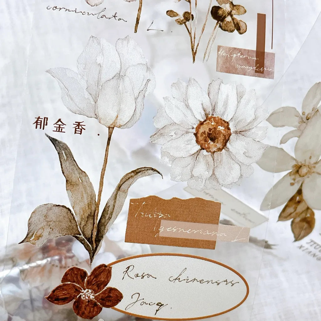 Illustration of flowers and leaves with text on a light background