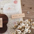 Wooden 'hello, moon' card on a book with dried flowers and stamps.