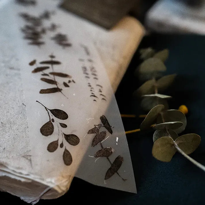 Eucalyptus Matte PET Tape leaf pattern layered on an old book with real eucalyptus sprigs alongside