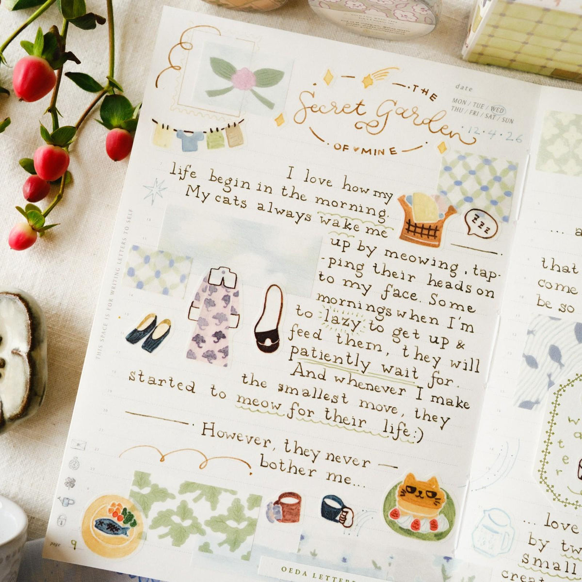 Book page with illustrations and text on a light background