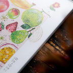 OURS Studio 2027 Journal cover with watercolor fruits on dark wood