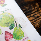 OURS Studio 2027 Journal sheet with painted melon, pear and strawberry