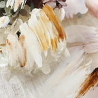 Close-up of dried flowers with white and brown tones on a textured surface.