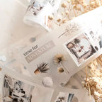 Decorative cards with nature-themed designs and 'time for ADVENTURE' text, surrounded by dried plants.