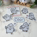Pigeons Sticker Set