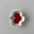Red object on a white dish against a light gray background