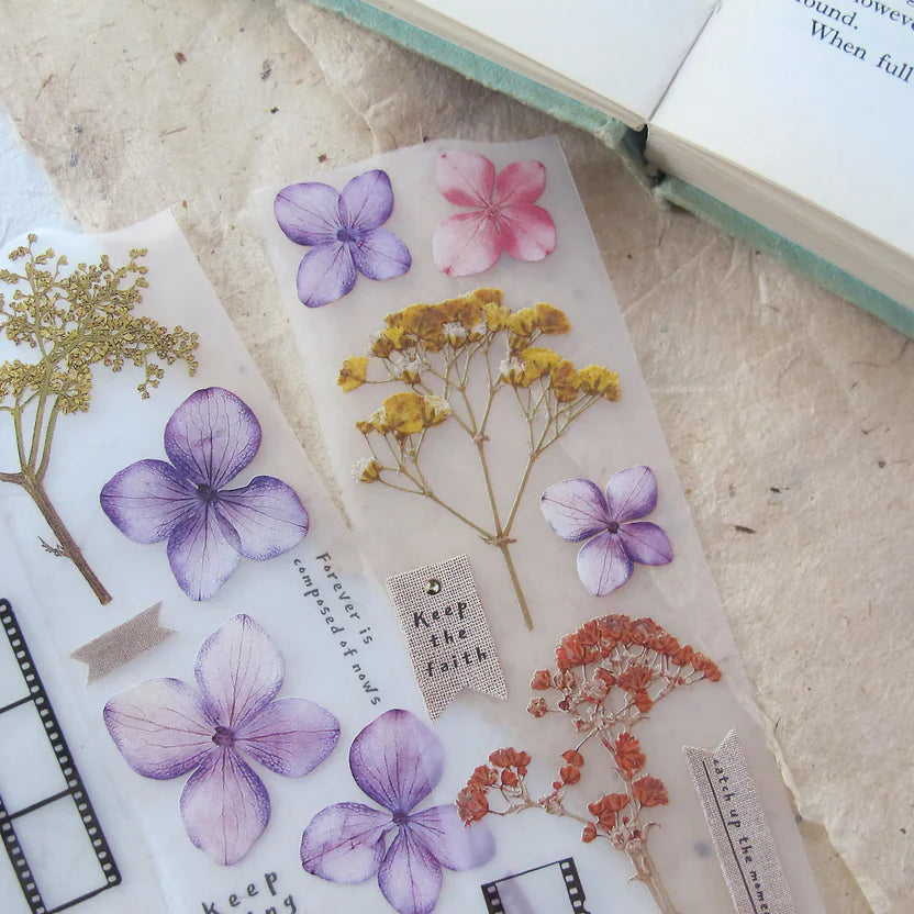 Snippets Chapter 2 PET Tape translucent pressed-flower and text sheet on a textured surface