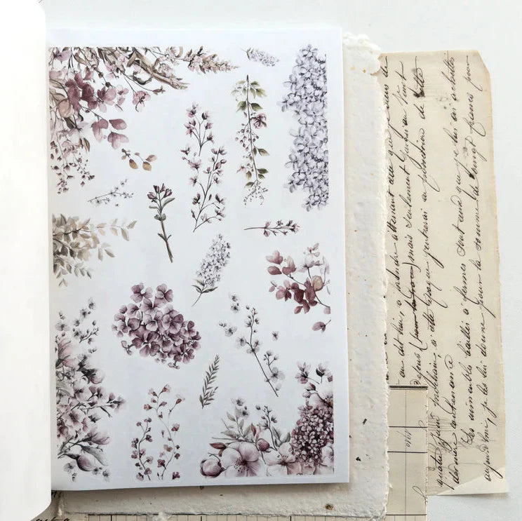 Floral design on a white background with an old letter.