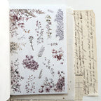 Floral design on a white background with an old letter.