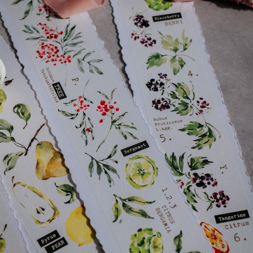 Scent.Fruity Washi Tape