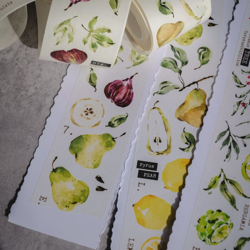 Scent.Fruity Washi Tape