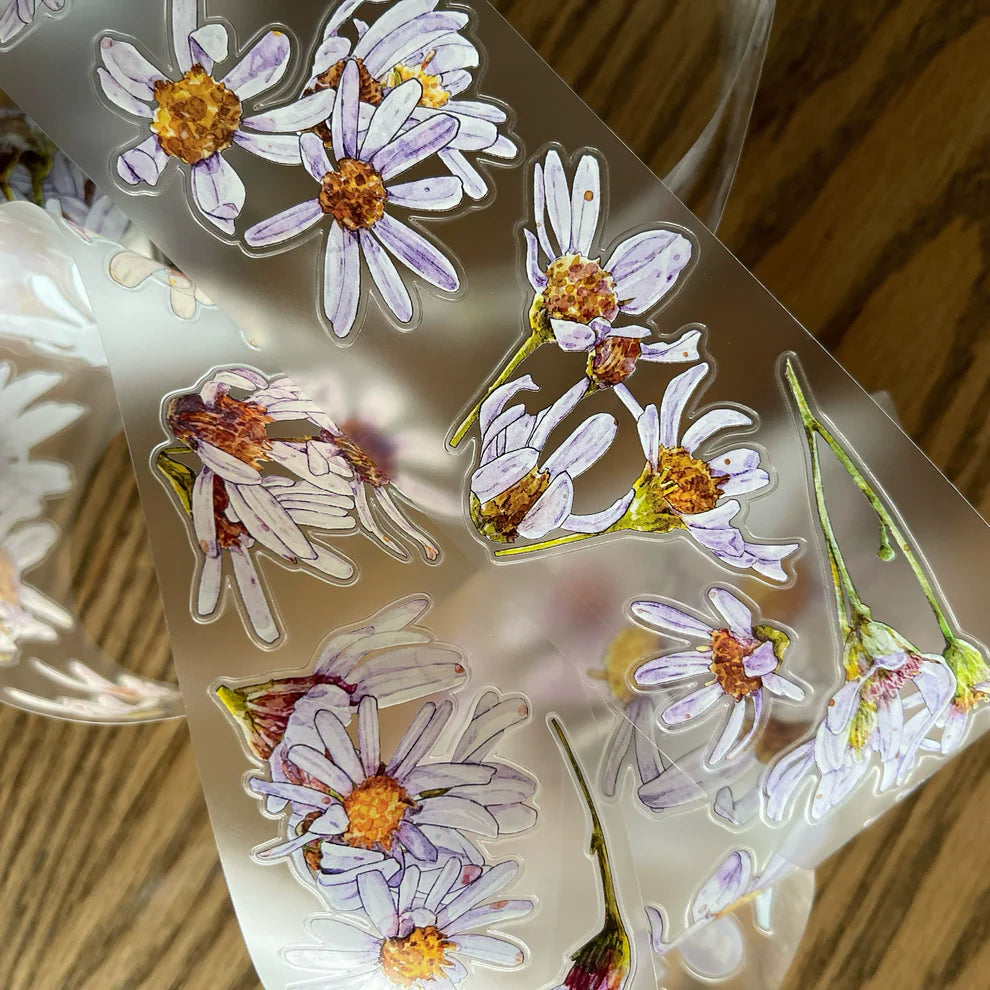 Clear Wild Purple Flower A41 PET Tape sheet of daisy blooms, overhead detail view