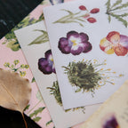 Flowers Sticker Pack