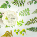 Ferns Masking Tape
