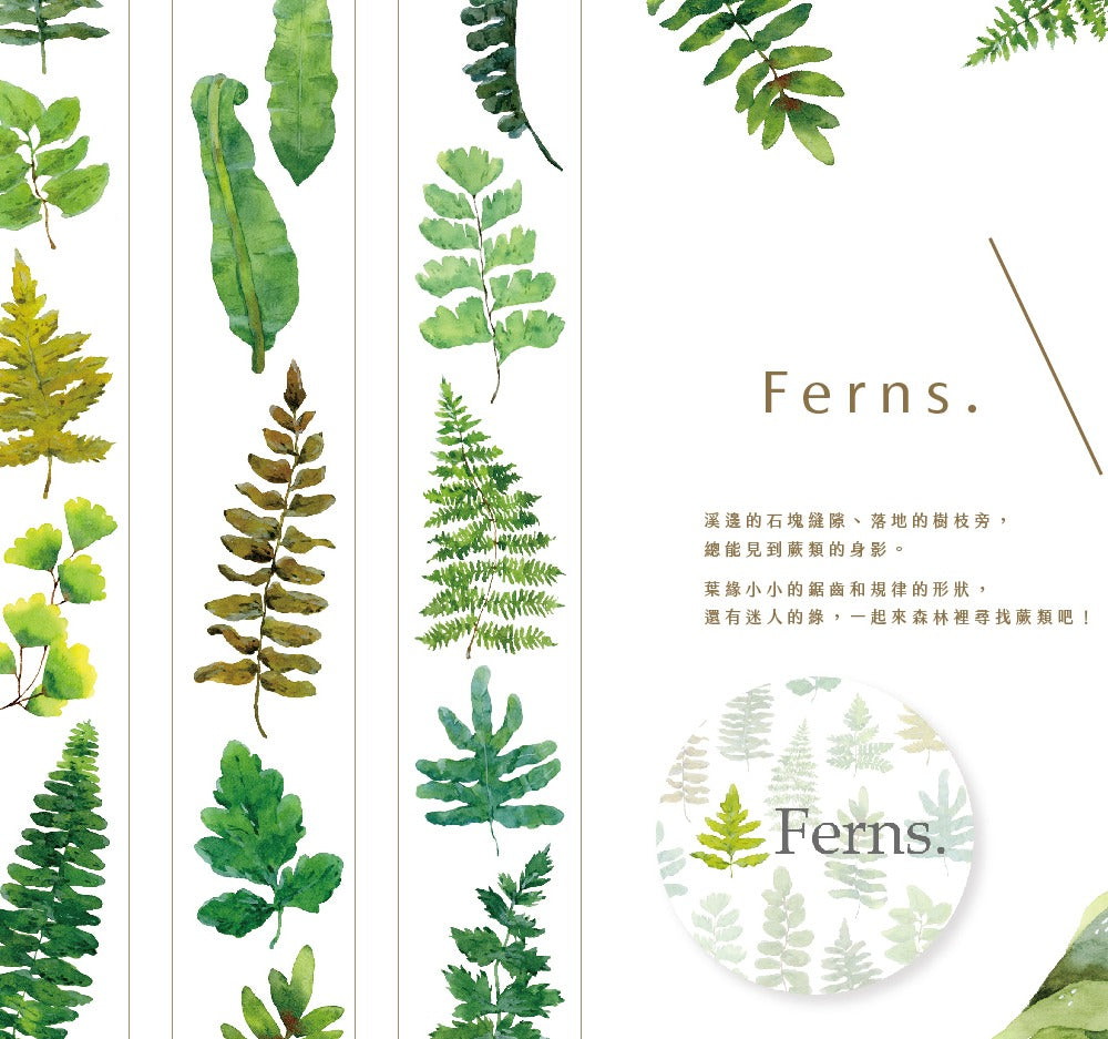Ferns Masking Tape
