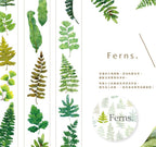 Ferns Masking Tape