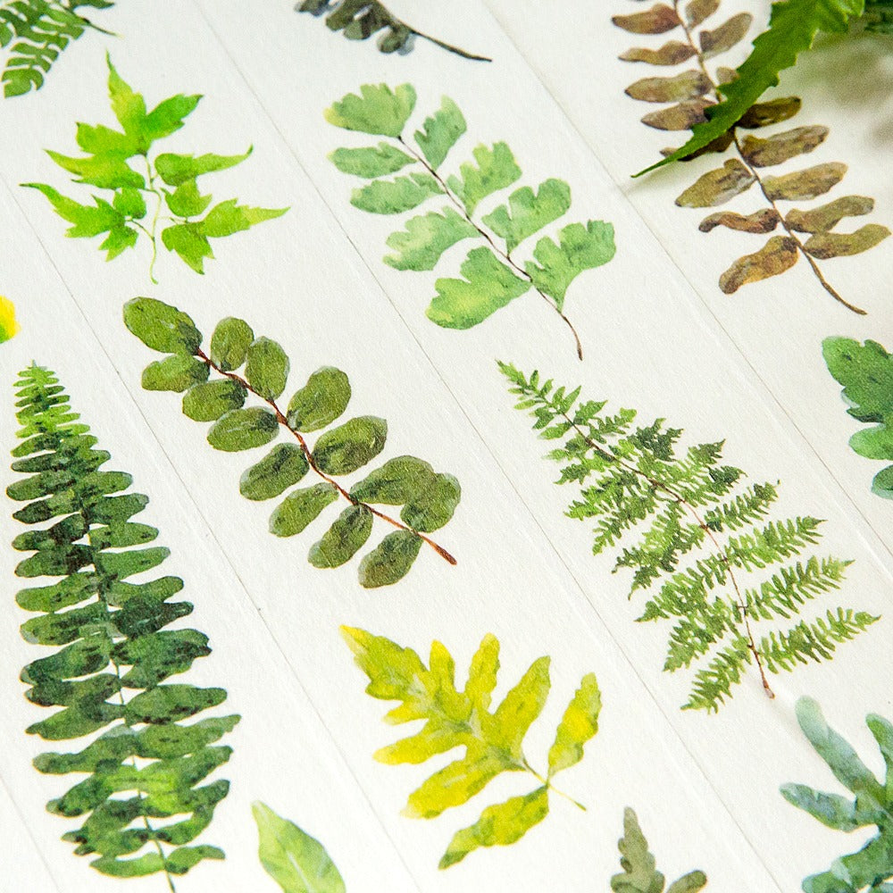 Ferns Masking Tape