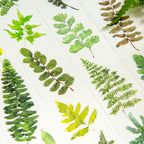 Ferns Masking Tape