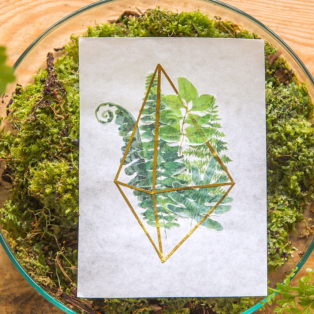 Ferns Masking Tape