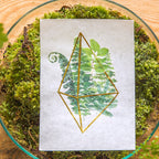 Ferns Masking Tape