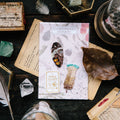 Wing&Feather Embroidery Sticker