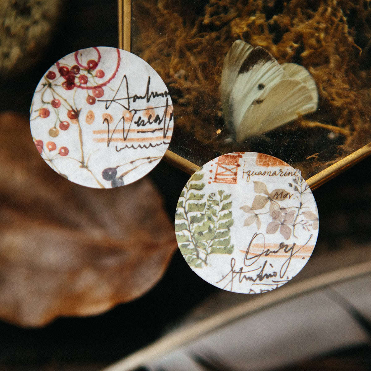 Plants Transfer Sticker by OURS Studio — nature-design matching earrings, styled shot, for journaling