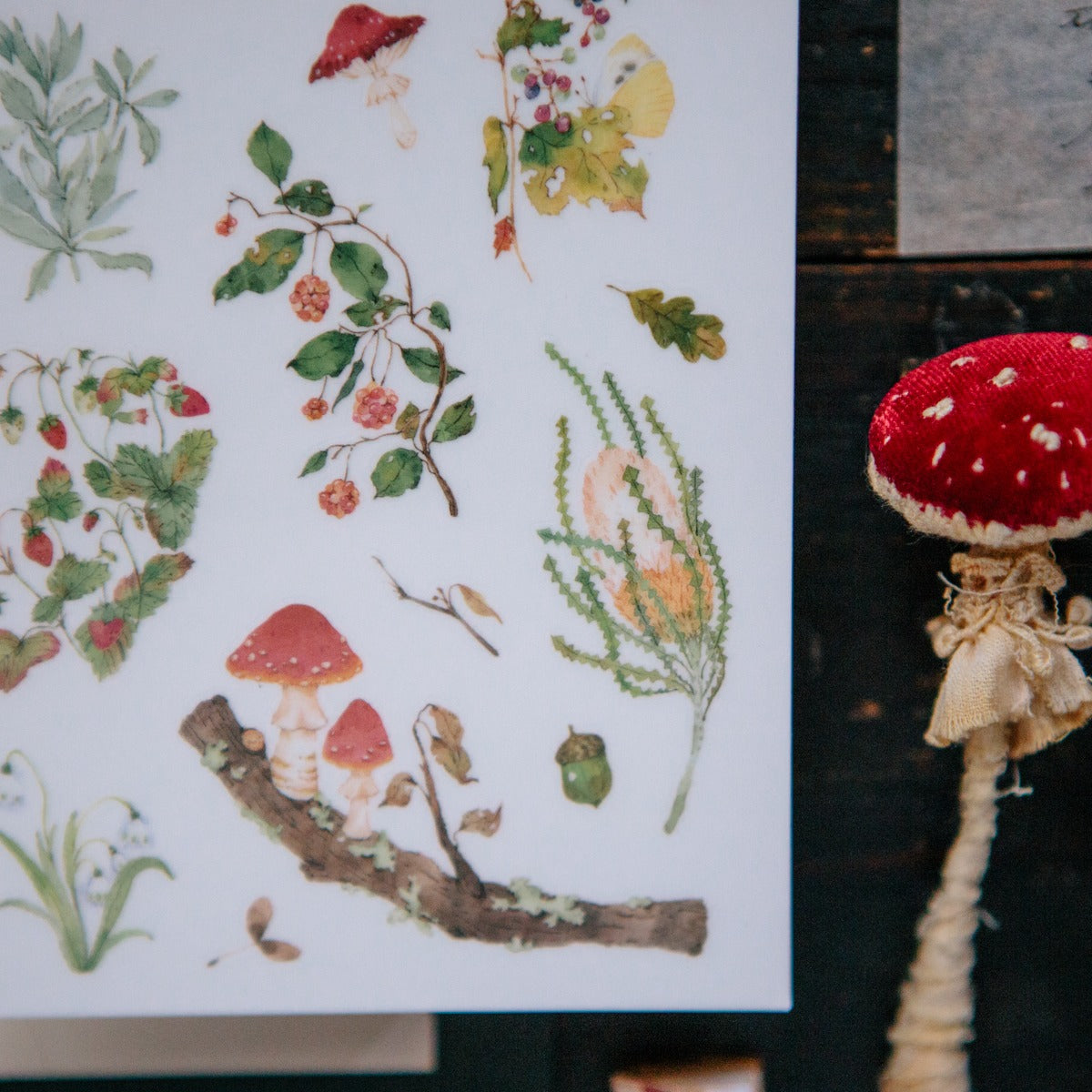 Wild Plants II Transfer Sticker by OURS Studio — mushroom-and-plant transfer sticker sheet, for journaling
