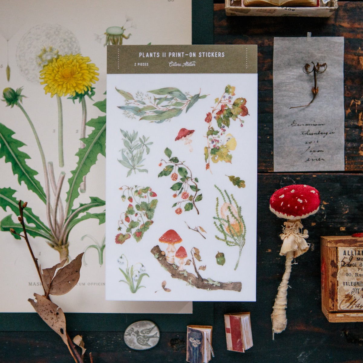 Wild Plants II Transfer Sticker by OURS Studio — mushroom-and-plant rub-on transfer sticker sheet, for journaling