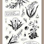 De Fleur Clear Stamp Sheet