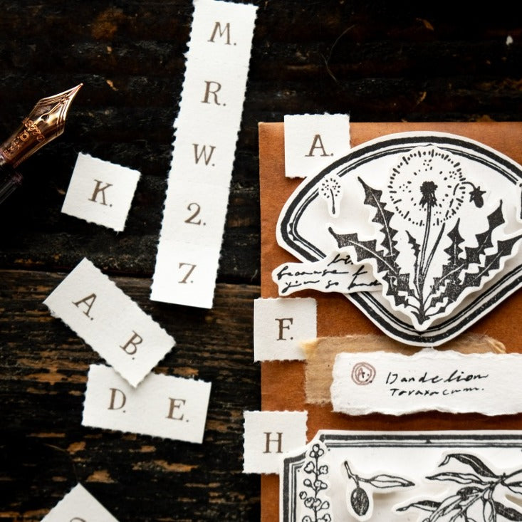 Letters (No Frame) Letterpress Book